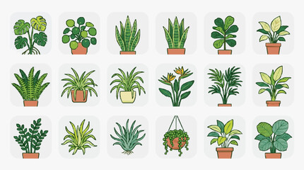 Corporate Collection of 15 Vibrant Indoor Houseplants in Terracotta Pots for Modern Office Decor and Wellness © Dodi