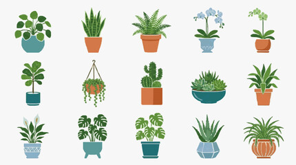 Corporate Collection of 15 Vibrant Indoor Plants in Stylish Pots for Modern Office Decor and Home Office Aesthetics © Dodi