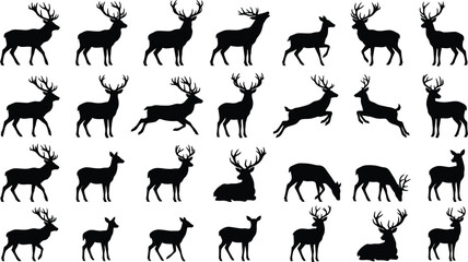 Deer silhouettes, black deer icons, reindeer graphics, 25 animal shapes © Yasir