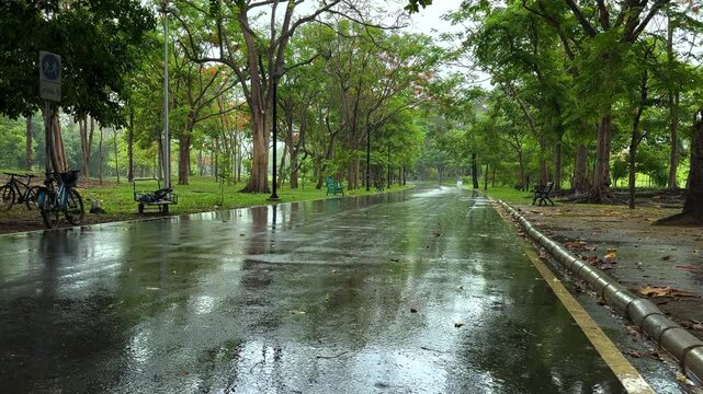 A serene morning view of a paved pathway inside Rod Fai Park (Wachirabenjathat Park) in Bangkok following a light rain.