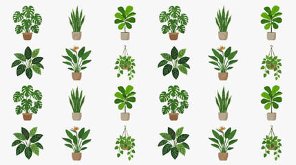 Corporate Collection of 20 Modern Indoor Plants in Pots and Hanging Baskets for Office or Home Decor © Putra