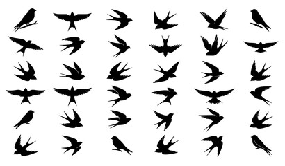 Fototapeta premium Premium Swallow Bird Silhouette Bundle with Flying Bird Vector Collection