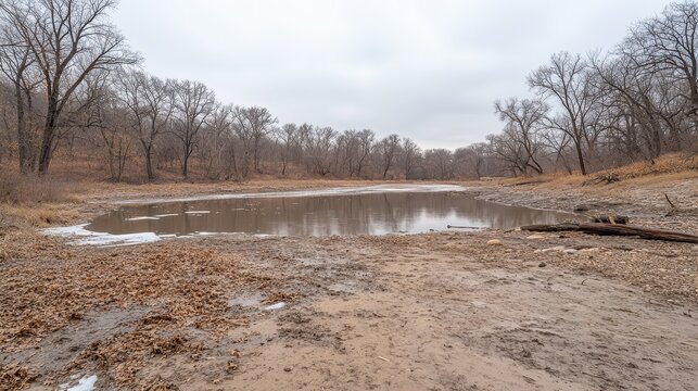 Overcast light highlights a muddy pond with bare trees in a rural landscape, reflecting environmental concerns.