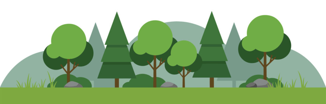 Flat forest landscape vector, green woodland trees and pine forest border, minimalist nature park background with deciduous and coniferous foliage