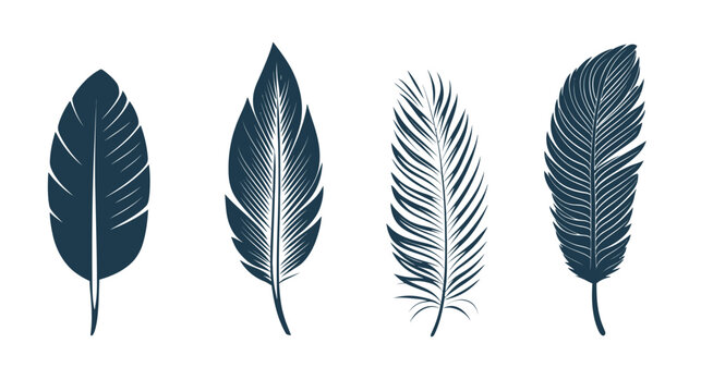 Four stylized illustrations of feathers, each with unique shape and detailed patterns, in teal