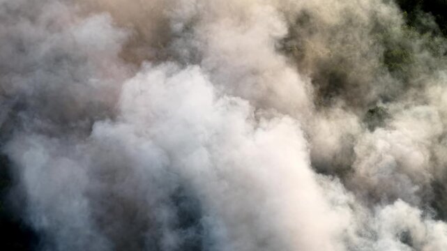 Thick smoke rises from a fire