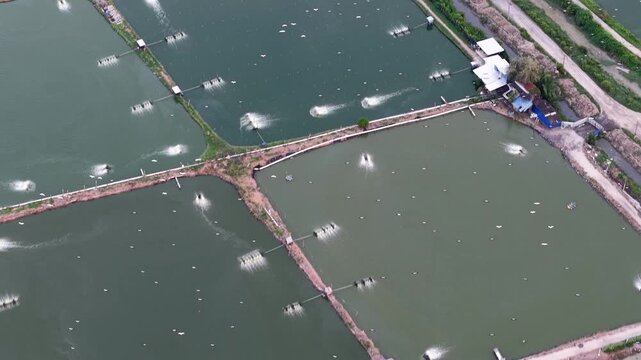 Aerial view showing rectangular fish farm ponds and aerators at Sungai Udang Nibong Tebal