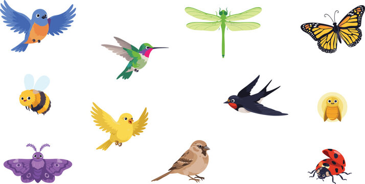 Cute flying birds and colorful insects vector illustration set featuring butterfly hummingbird bee ladybug swallow dragonfly and sparrow icons isolated on white background