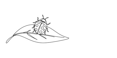 A small ladybug sitting on a single leaf line drawing illustration © JCS Graphic Design 