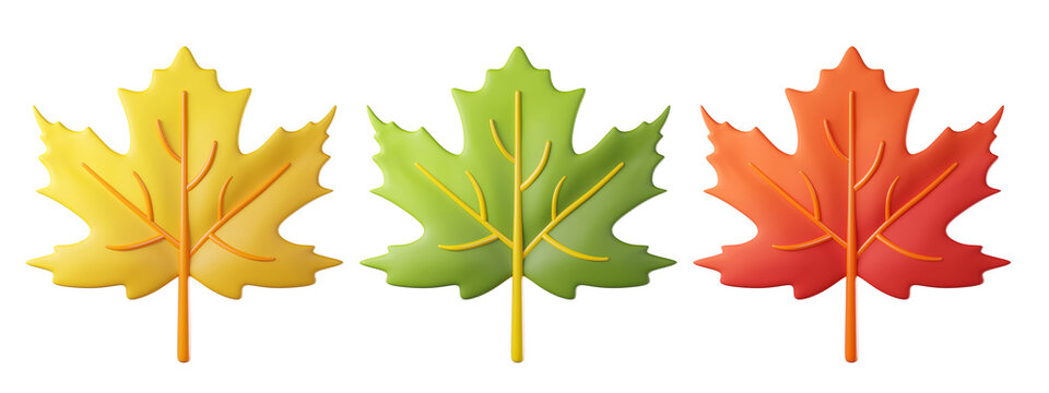 3D maple leaf icon in yellow, green and orange red, isolated on background. Autumn foliage set with cartoon clay style. Leaves for fall season designs, Thanksgiving, banners, posters
