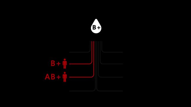 B Positive Blood Donation Compatibility Infographic &ndash; Who B+ Blood Can Donate To and Receive From &ndash; Educational Medical Animation for Healthcare Awareness&rdquo;