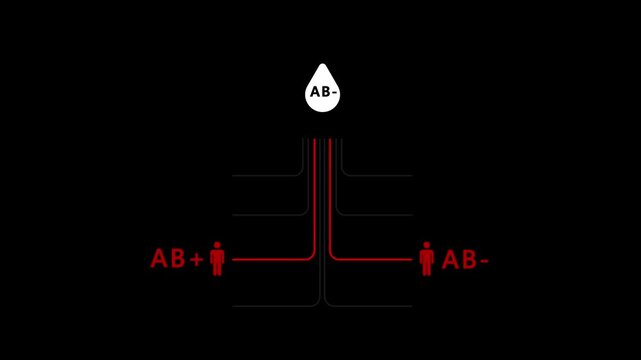 Blood Type Compatibility Infographic Video: A-, AB-, AB+ Donor & Recipient Charts. ABO/Rh Factor Transfusion Diagrams for Medical Education. Vector.