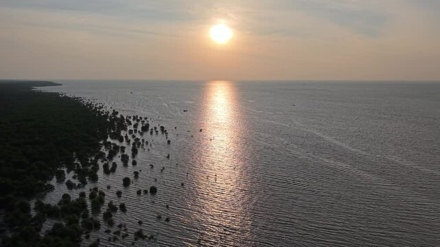 Aerial drone view of mangrove forest at sunset