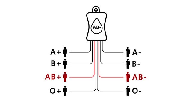 Blood Type Compatibility Infographic Video: A-, AB-, AB+ Donor & Recipient Charts. ABO/Rh Factor Transfusion Diagrams for Medical Education. Vector.