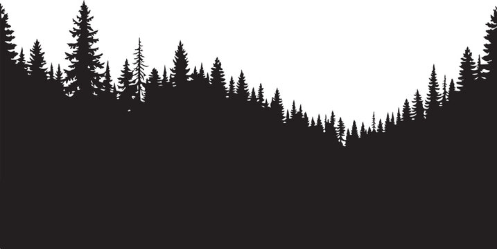 Black forest silhouette, pine tree landscape, nature background, vector illustration