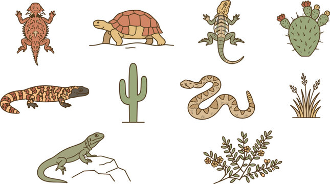 Desert Reptile Collection Featuring Tortoise, Lizard, Gila Monster, Rattlesnake, Agama, Cactus, and Arid Wildlife Editable Vector Illustration Set