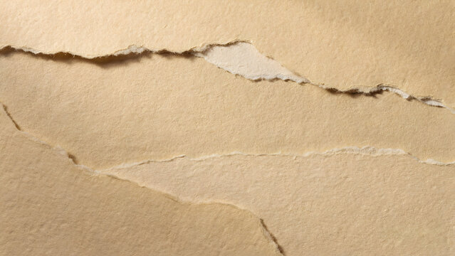 torn paper background