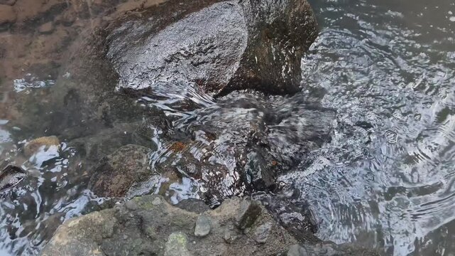Close up of crystal clear river water flowing rapidly over smooth rocks