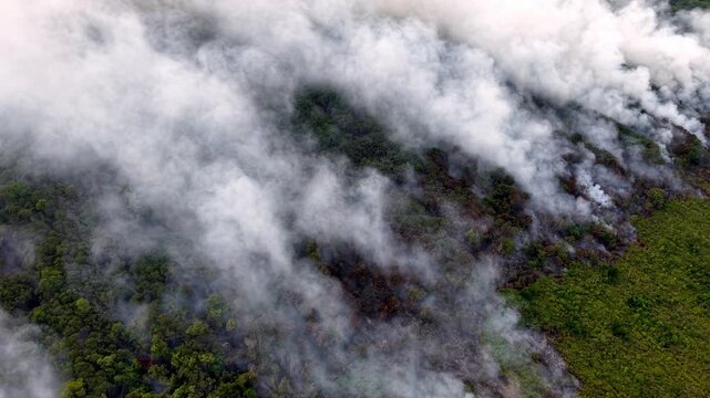 Thick smoke rises over burning forest terrain