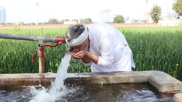 Indian farmer drinking fresh water from tube well irrigation pipe in agricultural field, rural life, farming, groundwater, crop irrigation, water supply,. India.