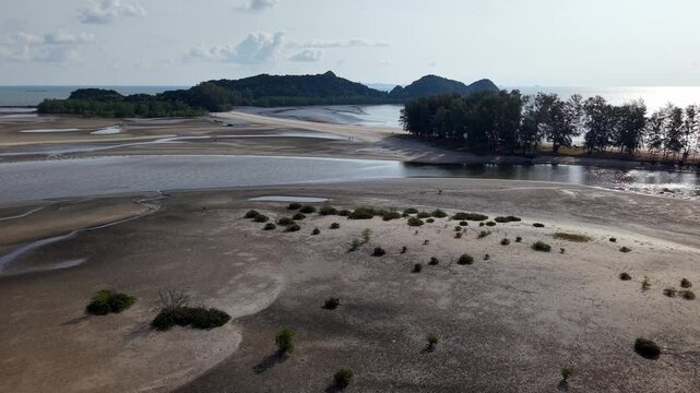 Serene tidal flats at low tide feature shallow water channels