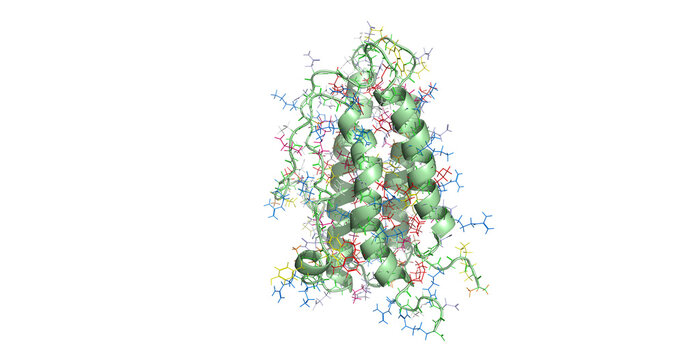Human erythropoietin (EPO), 3D molecule 4K