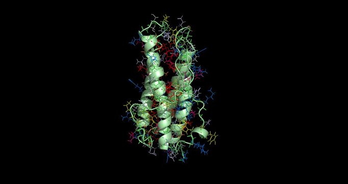 Human erythropoietin (EPO), 3D molecule 4K spinning