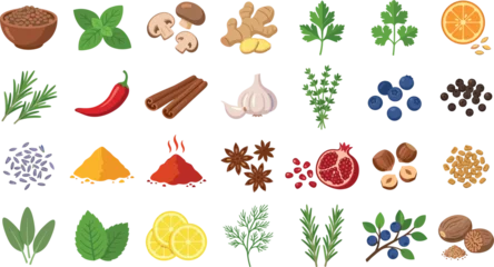 Culinary Herbs Spices and Fresh Baking Ingredients Vector Illustration Set Featuring Garlic Ginger Turmeric Cinnamon Rosemary and Citrus for Restaurant Menu Designs © Rifat