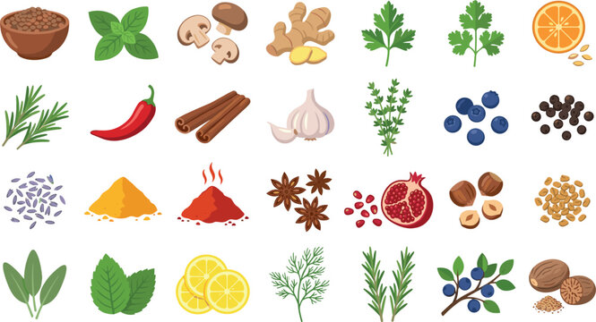 Culinary Herbs Spices and Fresh Baking Ingredients Vector Illustration Set Featuring Garlic Ginger Turmeric Cinnamon Rosemary and Citrus for Restaurant Menu Designs