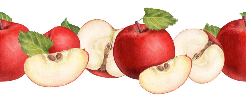 Seamless border with red apples on a white background. Watercolor illustration of ripe fruits. Apple saved. Autumn harvest. Suitable for packaging posters banners labels products and kitchen decor.