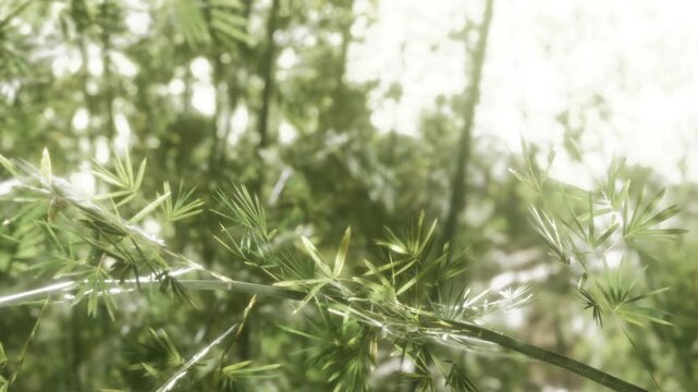 New growth and long leaves are visible in a thick area filled with green plants. Sunlight filters through the leaves. The setting shows many varying shades of green.