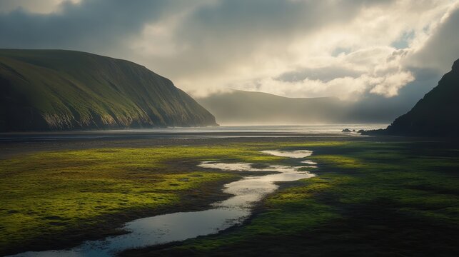 An algal bloom forms near the mouth of a river estuary, bathed in soft light under a cloudy sky.
