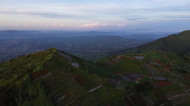 Aerial Drone View of Lush Green Rice Terraces on Hillsides in Indonesia