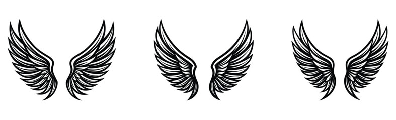 Obraz premium Set of wings collection. Vector illustration.