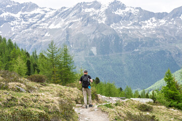Fototapeta premium peaceful hiker standing on a dirt path in a mountainous landscape with forested valleys, wearing a hat and carrying a backpack, surrounded by pine trees and rocky terrain.