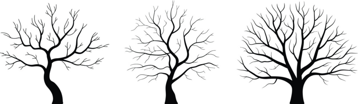 Silhouettes of three bare trees with intricate branches on a white background vector illustration