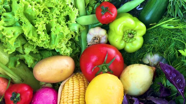 Top view of assorted fresh organic vegetables and raw greens harvesting background