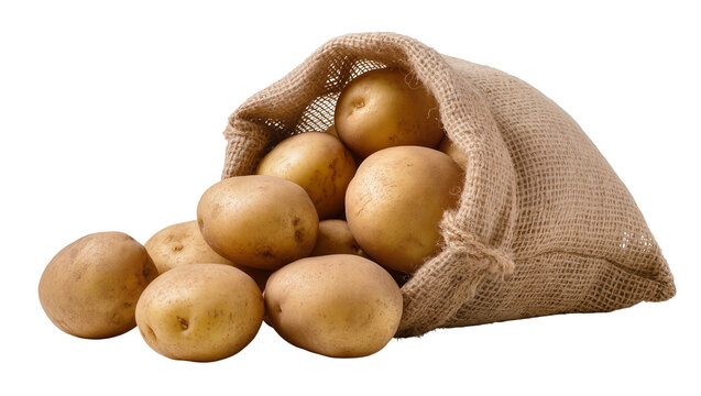 Raw potatoes spilling from burlap sack