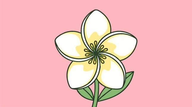 Flat Vector Illustration of a Single Simplified Plumeria Flower Viewed from Above, White and Yellow Petals with Green Leaves on a Bold Pink Background, Simple Graphic Design
