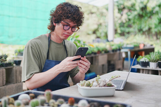 Asian Man Owner Managing Online Sales at Cactus Farm