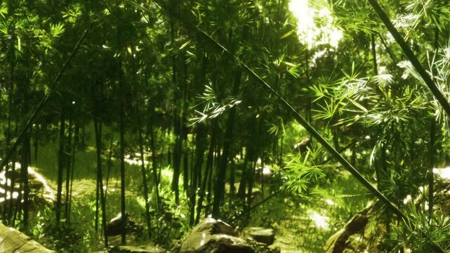 Sunlight streams through the tall bamboo, creating patterns on the ground. The green leaves sway gently in the warm mid day breeze. Nature thrives in this quiet environment.