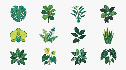 Creative Collection of Twelve Vibrant Houseplants with Unique Leaf Shapes and Colors for Interior Design Inspiration © Sky