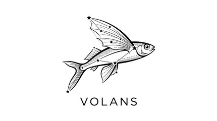 Celestial flying fish constellation line art illustration on white © pecel