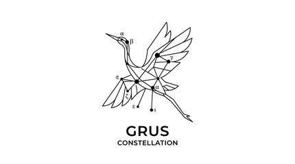 Minimalist geometric crane bird constellation line art illustration © pecel