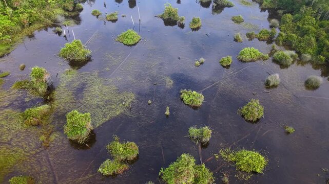 Aerial shot of calm pond featuring floating mossy patches and rocky outcrops