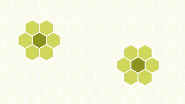 Minimalist hexagon clusters on mint honeycomb background animation