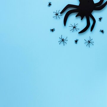 Halloween Spider Corner Background