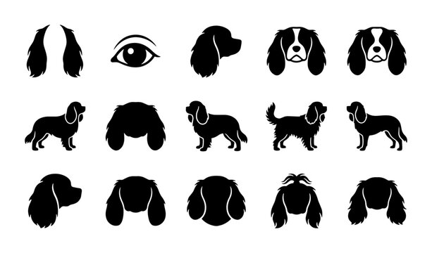 Cavalier King Charles Spaniel Dog Icons, Vector Silhouettes, Pet Breed Graphics