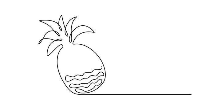 Animated self drawing of A single continuous line drawing of a tropical pineapple fruit showing simple artistic style. Full length one line animation. 4K video