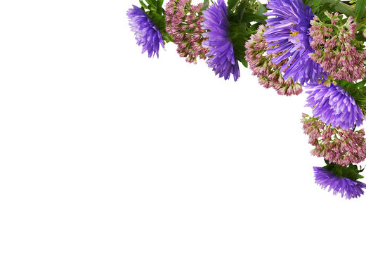Purple aster flowers and pink telephium in a corner floral arrangement isolated on white or transparent background